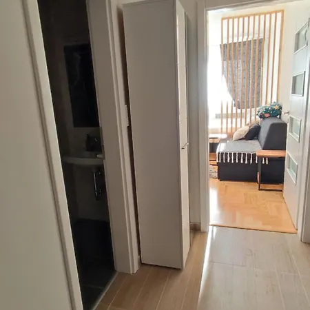 Studio Apartman Pale *