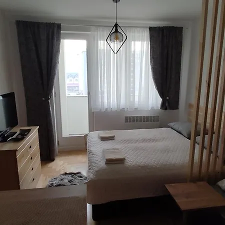 Studio Apartman Pale