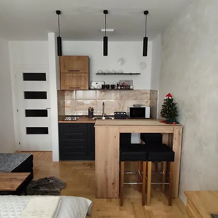 Studio Apartman Pale Apartment Pale