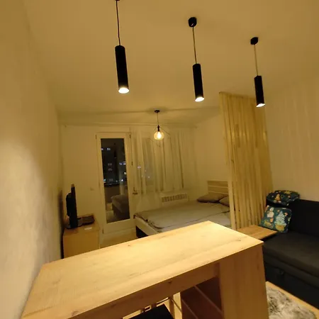 Studio Apartman Pale Pale