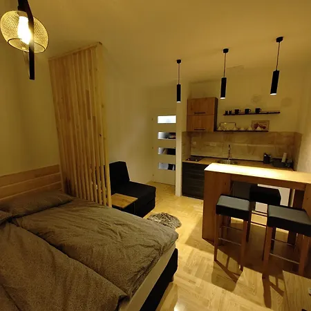 Studio Apartman Pale Pale